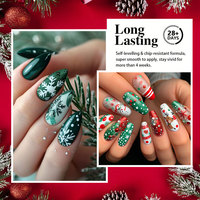Robifel Vente à Chaud Vernis Gel de Noël Coffret de Collection de 60 Couleurs OEM Échantillon Personnalisé Gratuit Vernis Gel de Marque pour Ongles