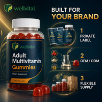 Fabricación por Contrato OEM ODM, Gomitas Multivitamínicas para Adultos para Energía y Apoyo Inmunológico