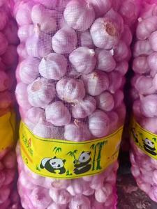 Ajo 2026, Tamaño 5.0 5.5cm, Empaque de 10kg 20kg, Marca Sinofarm, Ajo para el Mercado Africano - Product Image 6