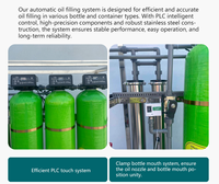 Machine de traitement d'eau par osmose inverse RO personnalisée 1000 LPH avec réservoir sous pression, contrôle PLC et robinet pour la purification des eaux souterraines