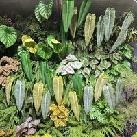 Tanaman Hias Daun Besar Buatan Monstera Tropis Daun Palem Hijau Besar Kecil Dengan Batang untuk Dekorasi Pesta Luau Hawaii Hutan