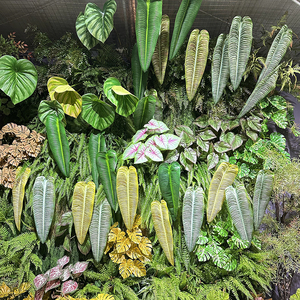 Feuilles de palmier artificielles tropicales Monstera de grande taille, grandes et petites feuilles vertes avec tiges pour la <span class=keywords><strong>décoration</strong></span> de fête hawaïenne Luau - Product Image 2