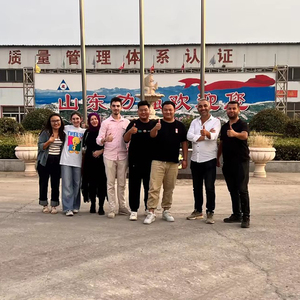 Sdlq Máy thu thập thông tin khóa thanh Khoan Quay Giàn Khoan lqr60 đống đào Machi khoan bit perceuse horizontale nhàm chán đống trình điều khiển - Product Image 6