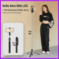 Trépied perche à selfie R1S-L avec lumière d'appoint LED, support de sol extensible 170 cm, télécommande sans fil détachable, support de téléphone pliable