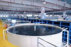 Sistema de Cultivo de Peces Ras Inteligente, Totalmente Automático, para Interiores, de 50 a 100 Toneladas, para Agua Salada, para Salmón, Mero y Cangrejo de Río - Product Image 3