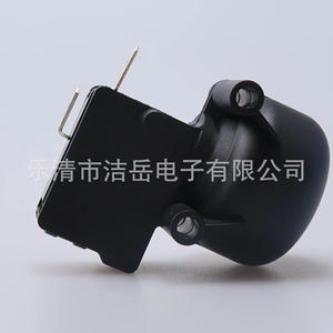 Microinterruptor Antivuelco para Calentador, Carcasa de PPA, Circuito SPST, Serie Grande, Protección a Prueba de Golpes - Product Image 1