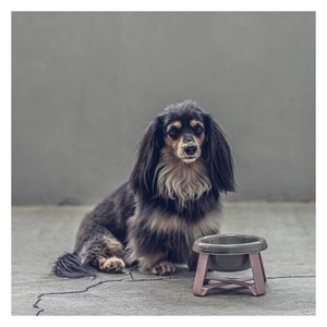 Cuenco para mascotas de cerámica ecológico al por mayor, grande y pequeño, duradero, soporte elevado, superventas, comedero para gatos y cuenco para perros - Product Image 1