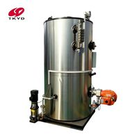 Générateur de vapeur au gaz naturel 150 kg/h 105 kW en acier inoxydable pour la pasteurisation et le traitement du lait