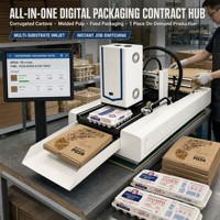 Printer Inkjet Industri Single Pass 210mm dengan Head HP dan Lift 120mm untuk Mesin Pengemasan Kardus, Kantong, dan Kemasan Pulp