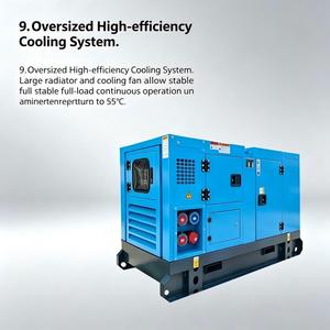 Gruppo Elettrogeno Diesel Ricardo da 250kW 300kW 250KVA con Controller ATS SmartGen e Alternatore Brushless per l'alimentazione di backup delle fattorie dell'Africa Occidentale - Product Image 3