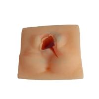 Gynécologie et obstétrique Silicone PVC Vulve Suturing Simulator Medical School Training Mannequin Simulation Human Model