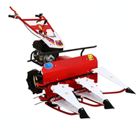 Rosemary Harvester Micro coupe fourragères largeur de coupe 800mm andaineur marche moissonneuse à vendre