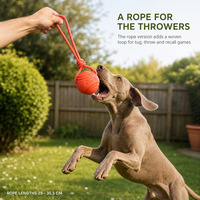 Balle de jeu pour chien, élastique, résistante aux morsures, interactive, nettoyage des dents, soins dentaires, à mâcher pour chiens de taille moyenne et grande, Golden Retriever