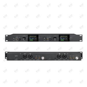 Auriculares Inalámbricos de Doble Canal EIF AC-110 de Alta Calidad, Ligeros, Metálicos, con Micrófono, Auriculares Profesionales para Bajos - Product Image 6