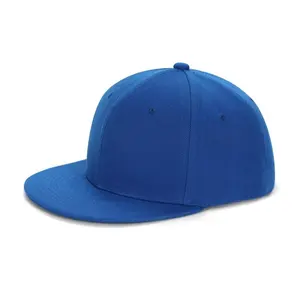 Custom High Quality Printing 6-Panel Blue Hip-Hop Hat Customized Logo 3D Embroidered Snapback Cap