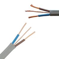 BS 6004 450/750V Kupfer-PVC-Elektrokabel 2,5mm mit 1,5mm Erdungskabel in Grau, Flachkabel