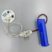 Panneau de commandes tactiles LED RVB DIY Rose Table Night Light Lamp Gradation Board Module Modern Type C USB Rechargeable 5V PCB Source