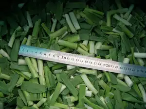 Iqf Vegetable Hot Sell Frozen Vegetables IQF Frozen Spring Onion Cut