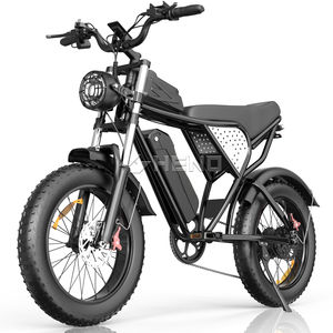 Vélo électrique Yvy Ridstar Q20 20 pouces 48V 20Ah, vélo de ville, de montagne, tout-terrain, vélo électrique à pneus larges, vélo hybride pour adultes - Product Image 1