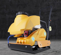 Compacteur à plaque vibrante portable Compacteur à plaque Wacker Compacteur à plaque essence/Diesel/électrique