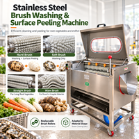 Lave-légumes et éplucheur à rouleaux pour nettoyer les légumes à racines et enlever la peau de surface
