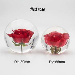 Bola redonda, planta botánica colorida, flor prensada seca, epoxi, flor prensada Real, flor de resina, bola de cristal, artesanías - Product Image 5