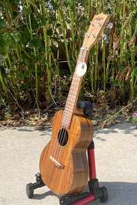 Bán Buôn Aiersi Nhà Máy Giá Chuyên Nghiệp Koa Pili Koko Cutaway Tất Cả Các Rắn Buổi Hòa Nhạc Ukulele Ukelele Nhạc Cụ - Product Image 4