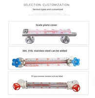Interrupteur de niveau magnétique en acier inoxydable Ruiji pour réservoirs de diesel, jauge de niveau à clapet magnétique, télécommande, garantie 1 an, OEM/ODM