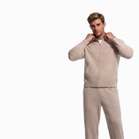 Ensemble de pull en tricot uni zippé pour homme, manches longues, respirant, idéal pour l'automne, également utilisable comme un survêtement