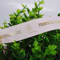 Ruban personnalisé d'usine 2,5 cm, ruban d'emballage design, logo en feuille d'or estampé à chaud 3D, rouleau de ruban gros-grain