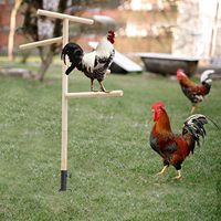 Estante de pie para pollos, loro para exteriores, estante de madera de Color Original, suministros de juguetes para pollos al aire libre