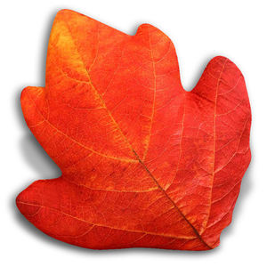 Confortable enfants dessin animé mémoire élasticité lit oreillers belle fée Talepattern bébé taie d'oreiller personnalisée fabricants - Product Image 4