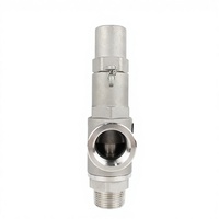 Soupape de sécurité en acier inoxydable 316, soupape de décharge SS316 1/2 pouce, 3/4 pouce, 1 pouce, 1 1/4 pouce, 2 pouces, soupape de décharge de pression pour chaudière à vapeur 110 bars