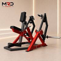 Máquina de remo sentado con carga de placas comercial para entrenamiento de fuerza de espalda y parte superior del cuerpo para gimnasios y centros de fitness