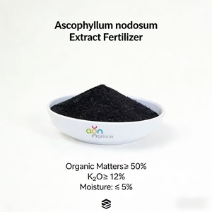Extracto de Algas Sargassum, Fertilizante Bio, 99% de Pureza en Polvo para <span class=keywords><strong>Agricultura</strong></span> y Horticultura - Product Image 2