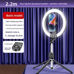 Vente en gros P220Q vente chaude 10 pouces LED lumière droite TikTok anneau lumière <span class=keywords><strong>lampe</strong></span> Selfie bâton pour photographie maquillage diffusion en direct - Product Image 2