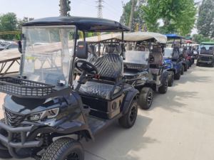 <span class=keywords><strong>Prix</strong></span> de gros 3-4 places Utv 4x4 voiturette de golf électrique Dab <span class=keywords><strong>Radio</strong></span> Club Car Buggy Golf Cats électrique à vendre - Product Image 2