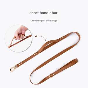 Correa de Lujo de Aleación Sólida con Hebilla Ajustable Reflectante y Cintas para Pasear Perros Henshine HS20240731004 - Product Image 6