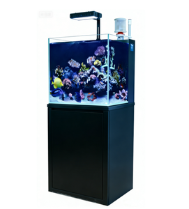 <span class=keywords><strong>Aquarium</strong></span> miniature pour <span class=keywords><strong>eau</strong></span> <span class=keywords><strong>de</strong></span> <span class=keywords><strong>mer</strong></span> avec cabinet en alliage d'aluminium, réservoir carré 35*35*35cm 40*40*40cm 50*50*50cm - Product Image 2