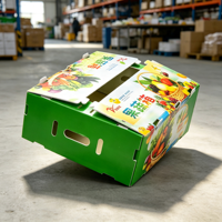 Boîte d'emballage en plastique ondulé OEM, boîte en panneau alvéolaire PP réutilisable pour l'emballage des fruits et légumes, impression personnalisée, boîte d'expédition