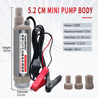 Moteur CC 12v24v Pompe submersible basse pression Petite pompe submersible Diesel Huile de refroidissement Injection de carburant 100W avec tuyau Ensemble de pistolet à huile 25L/min