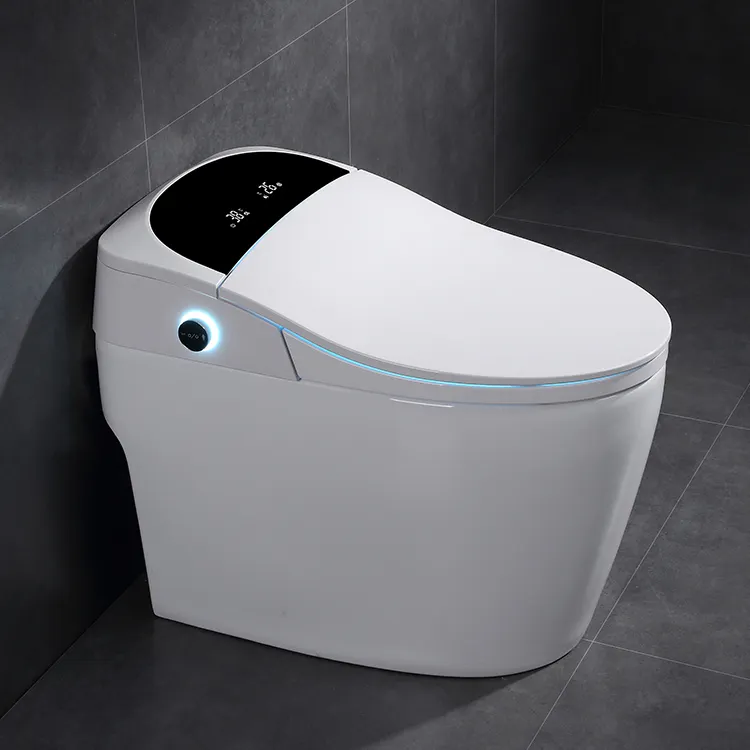 Volautomatische 110V/220V Hotel Een Stuk Sanitaire Zelf Schoon Badkamer Wc Elektrische Bidet Closestool Intelligente Smart wc