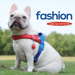 DUOMM 550 Set Harness anjing mewah warna-warni Logo silikon pegangan PU sesuai pesanan mode Harness anjing belakang - Product Image 2