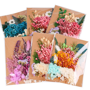 Paquete de flores secas E07119, paquete de flores prensadas para manualidades, para regalo - Product Image 1