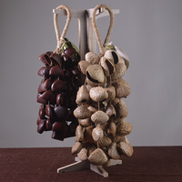 Music Healing Instruments South African Natural Plant Shell Nut Wind Chimes African Drum Accompaniment Hand Chimes