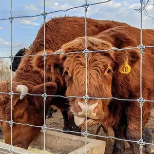 Cerca de campo galvanizado melhor preço cerca de fazenda malha de arame 3M barato quintal cerca venda direta da fábrica