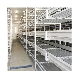 Industrial Mushroom Grow <strong>Racking</strong> System, Stackable Steel Shelf for <strong>Greenhouse</strong> &amp; Warehouse - Product Image 2