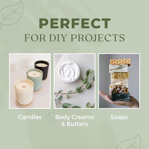 Proveedores de Aceites Esenciales, Aceite Esencial de Albahaca Dulce 100% Puro y Natural para Fabricación de <span class=keywords><strong>Jabón</strong></span>, Aceite Esencial Cosmético al por Mayor - Product Image 6