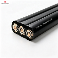 Kabel Industri Listrik JHSBP Tahan Air Berpelindung Datar 3+1 Inti Berisolasi EPR 450/750V untuk Pompa Pengolahan Air