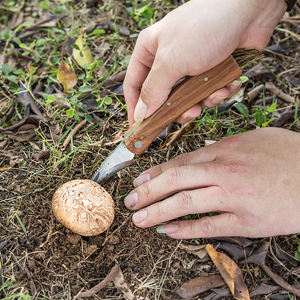 Couteau à champignons pliant en acier inoxydable de vente chaude avec brosse couteau à truffe à manche en bois pour le <span class=keywords><strong>camping</strong></span> Support OEM personnalisable - Product Image 6